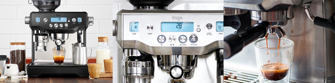 Sage The Oracle Sage The Oracle